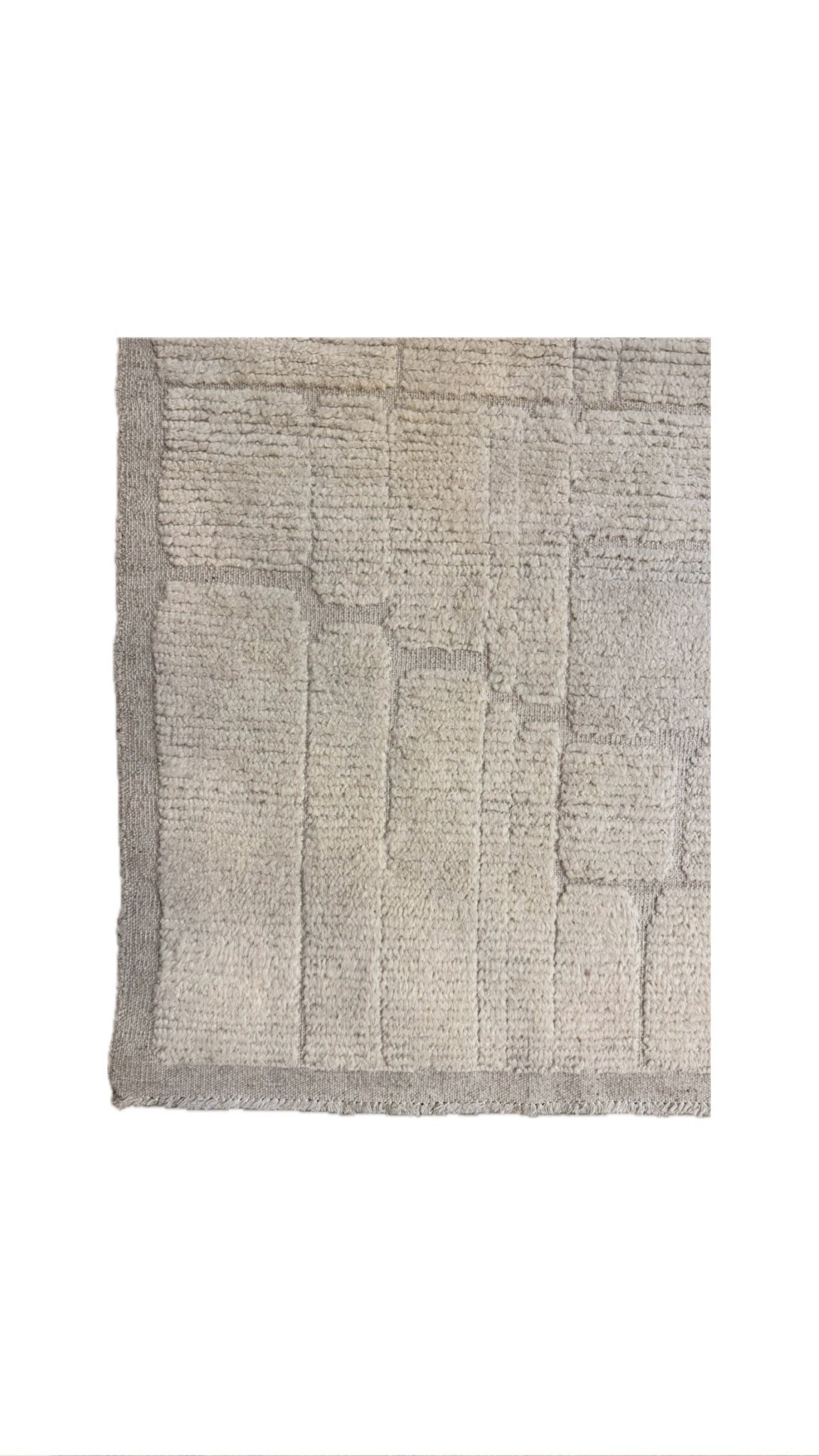 2.9'x5.4' Moroccan Rug